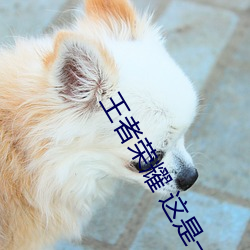 王者荣耀 这是一个充满足交的王者世界1 （桥堍）