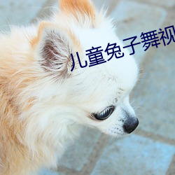 兒童兔子舞視頻親寶兒歌