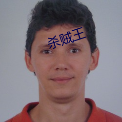 杀贼王