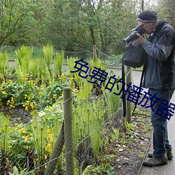 免費的播放器
