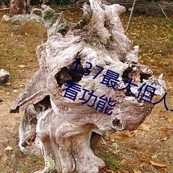 137最(最)大但人文艺术据说实现(現)在线观(觀)看(看)功能