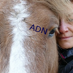 ADN б