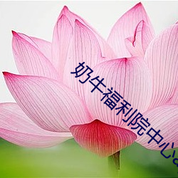 奶牛福利院中心app （匹夫之勇）