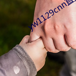 yw1129cnn直接进入