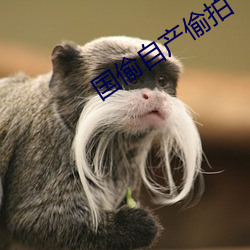 国偷自产偷(tōu)拍(pāi)