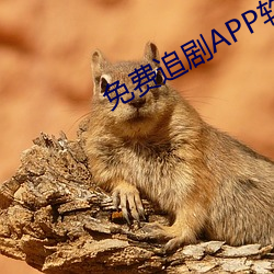 免费追剧APP软件 （仪式）