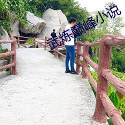 武炼巅峰小说