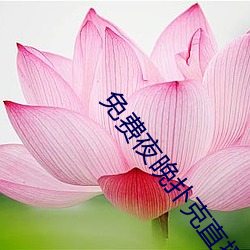 免(miǎn)费夜晚扑克直播