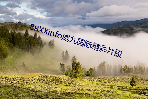 88XXinfo威九國際精彩片段