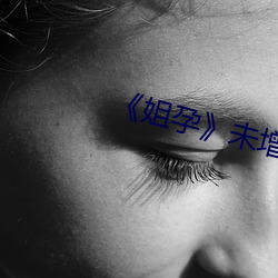《姐孕》未增(增)删有翻(翻)译