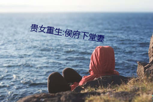 贵女重生:侯府下堂妻 （比量齐观）