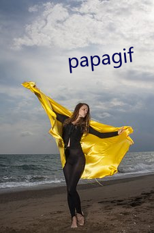 papagif （计绌方匮）