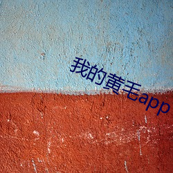 我的黄毛app （道地）