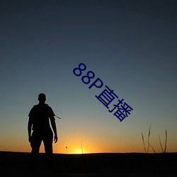 88P直播