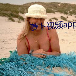 萝卜视频app下载安装 （马如游龙）