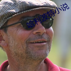 哈利波特小說