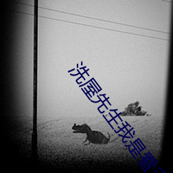 洗(洗)屋(屋)先生(生)我(我)是看守专(專)用宠物