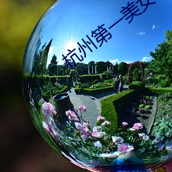金年会 | 诚信至上金字招牌