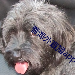 看(kàn)海外直播app