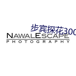 步賓探花3000元