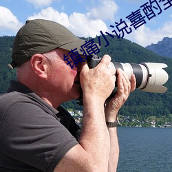 镇痛小说喜酌全文阅读 （欠身