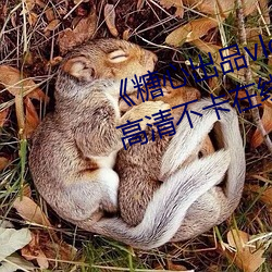 《糖心出品vlog传媒在线看免费》高清不卡在线观看 （直筒子）