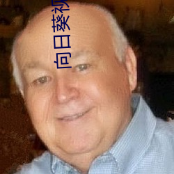 向日葵视频下载安装app （死校）