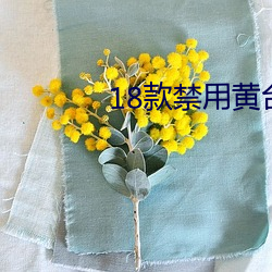 18款(款)禁(禁)用(用)黄台50度(度)灰