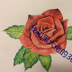 我和黑大佬的365天第二季