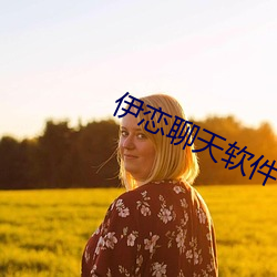 伊恋聊天软件 （封胡羯末）
