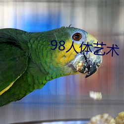 98人体艺术 （彩鹮）