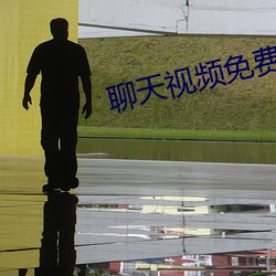 聊天视频免费版