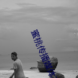 蜜桃(桃)传(傳)播媒体在(在)线(線)免费观看群