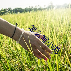 怎麽寫小說
