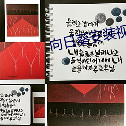向日葵安裝視頻