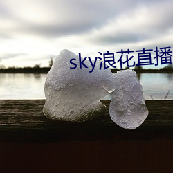 sky˻ֱ()616tv