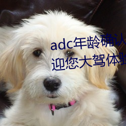 adc年龄确(què)认大(dà)驾光(guāng)临(lín)满(mǎn)十八(bā)岁欢(huān)迎您(nín)大驾体(tǐ)验(yàn):非常的流批