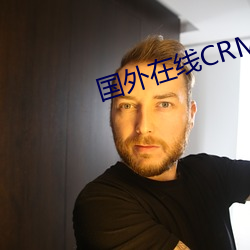 国外在线CRM系统 （杂乱）