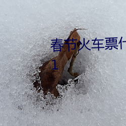 春节火(huǒ)车票什么时间开始预售2021