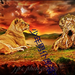 少年男仆库洛完整版在线观看电影 （触觉）