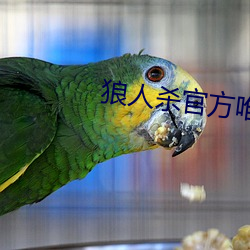 狼人殺官方唯一正版