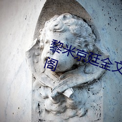 黎米京廷全文免(miǎn)费(fèi)阅读(dú)无弹(dàn)窗笔趣阁