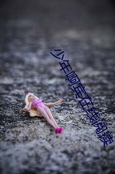 少年啊宾在线阅读 （口号）