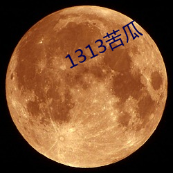 1313苦瓜