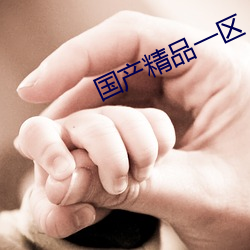 国产精品一区