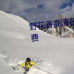 野花香高清在线观看视频播放免费