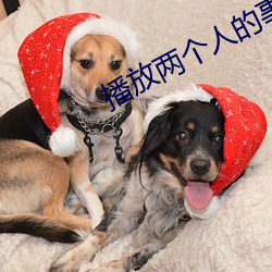 播放两个人的事(事)迹
