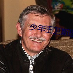 少年王卫斯(sī)理下载 bt