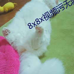 8x8x视频(頻)污(汙)无限破解版