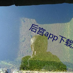 后宫app下(下)载(載)无限